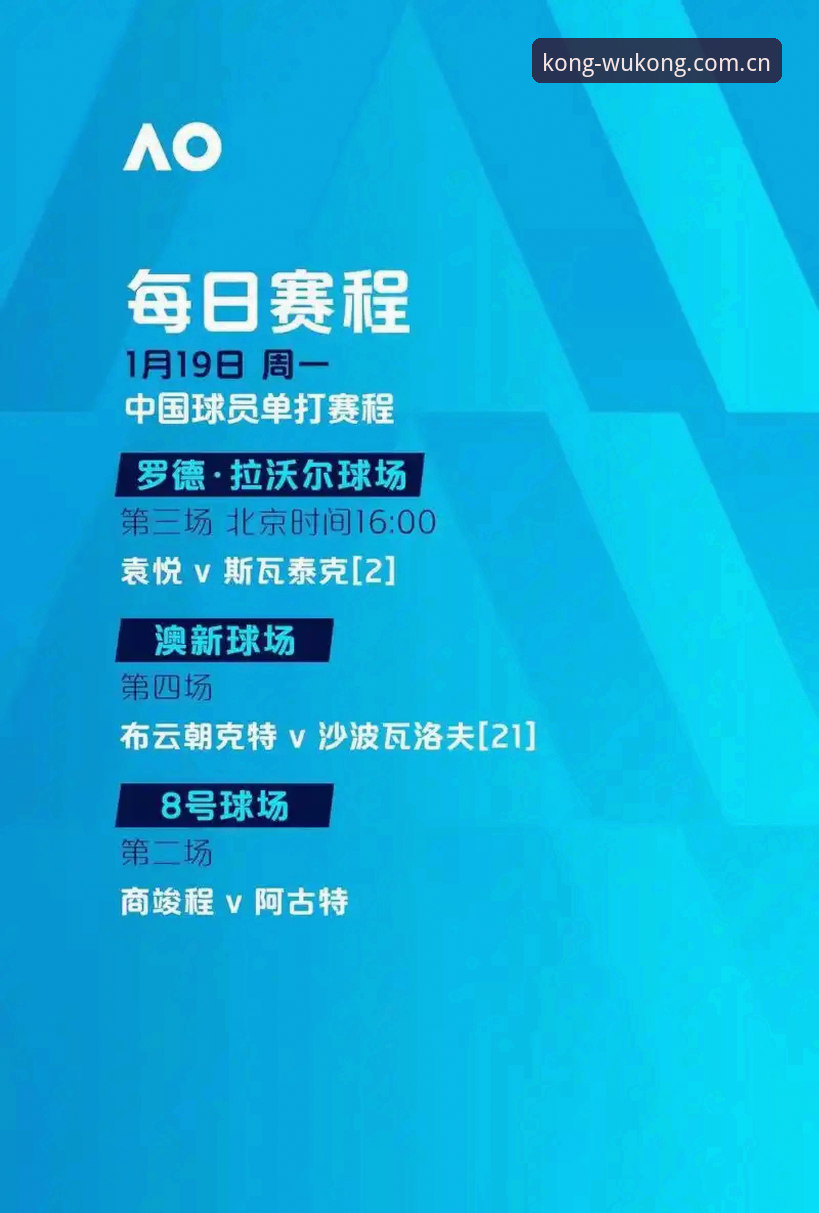 世界杯观赛困境深度解析：签证与地缘政治如何影响全球球迷热情